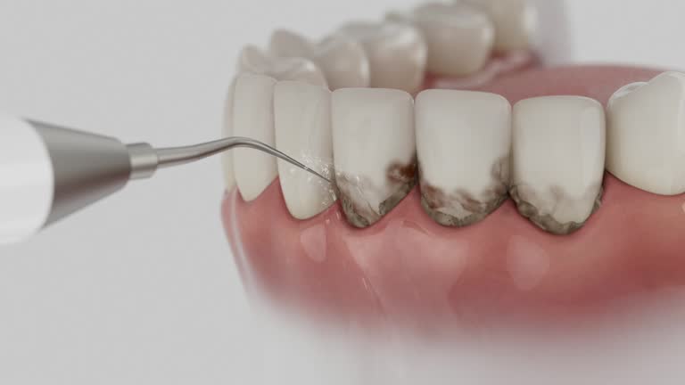 Reliable Dental contractor in Marion County County, KS by Dentist Open Now
